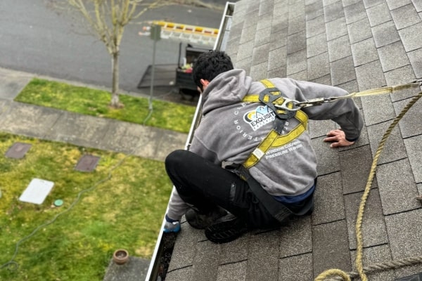 5 Star Pressure Washing Services in Seattle WA